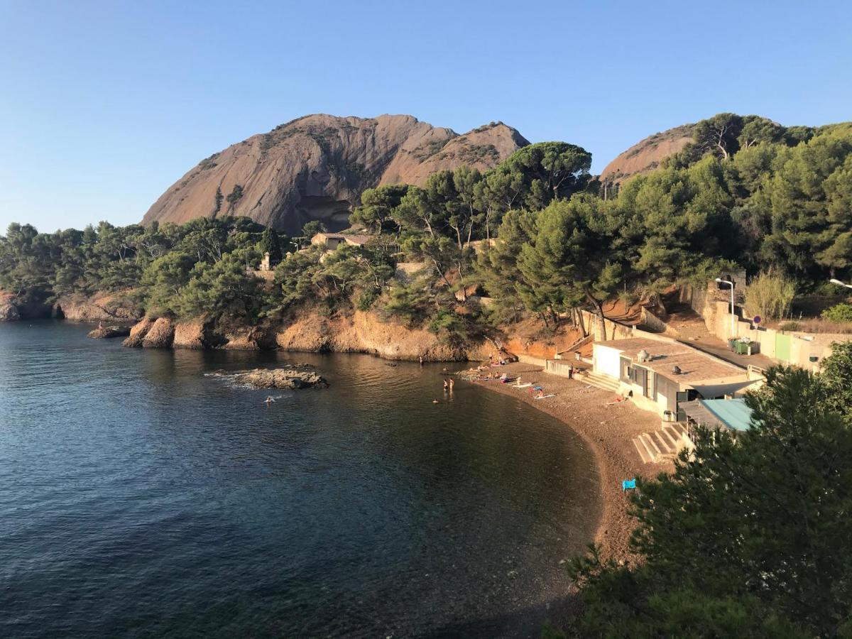 Plage St Jean Residence Le Golfe D Azur 拉西约塔 外观 照片